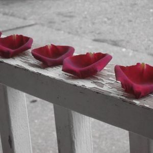 Meet your Posher, RMLundvall